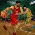 篮球3d模拟安卓版
